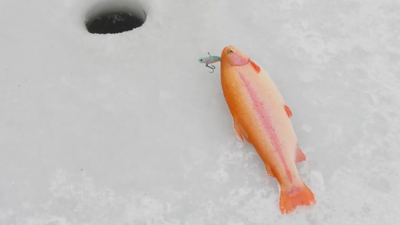 Национальные особенности зимней рыбалки смотреть онлайн