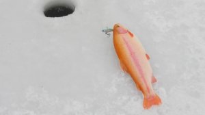 Национальные особенности зимней рыбалки