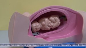 15.01.2025 Ученики медколледжа смогут получит высшее образование на Сахалине