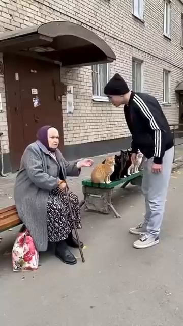 Бабкины коты смотреть онлайн