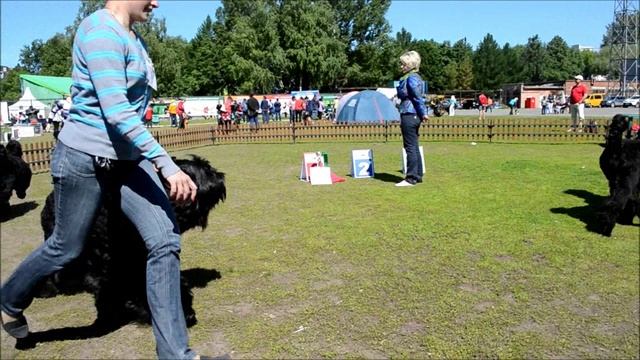 пермьмонолс