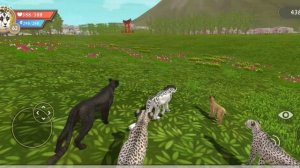 Разоблачение на Овсянку (Овсяное Поле)! | Да, я вчера поленилась смонтировать.