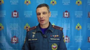 Более сотни голов скота сгорели на ферме в деревне Старцево Городецкого округа