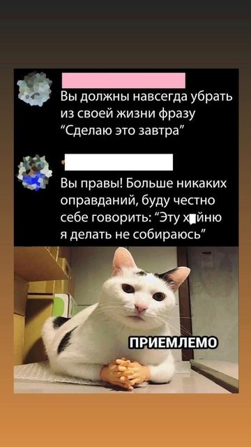 ВОЛШЕБНЫЙ ПЕНДЕЛЬ здесь: https://t.me/pendel_ot_olgi #shorts смотреть онлайн