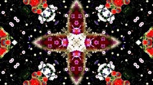 С Днём Рождения! Букеты роз 6 от Киностудии Мудрого Кота Тимофея!