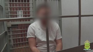 Полиция Пензы задержала 18-летнего студента, который по указанию аферистов обворовал два дома