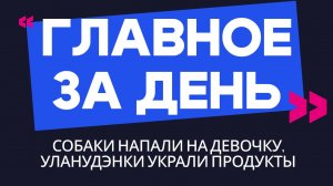 Главное за день: собаки напали на девочку, уланудэнки украли продукты
