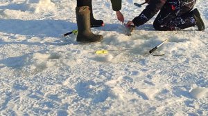 Основной водоём. Форель на резину.