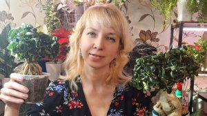 Небольшой обзорчик растений. Январь.