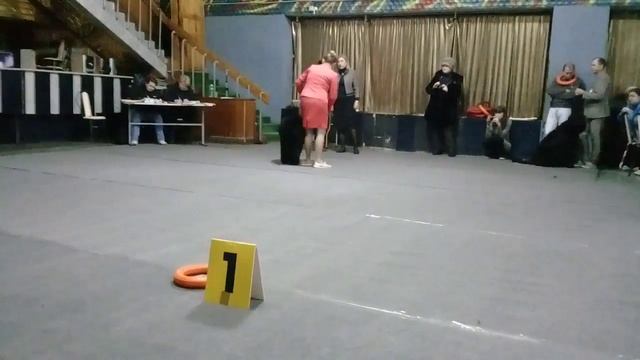 суки победители