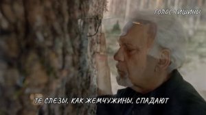 _СЛЁЗЫ ОТЦА_ песня на стихи Марины Визнюк