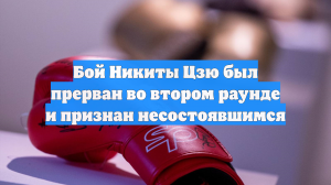 Бой Никиты Цзю был прерван во втором раунде и признан несостоявшимся
