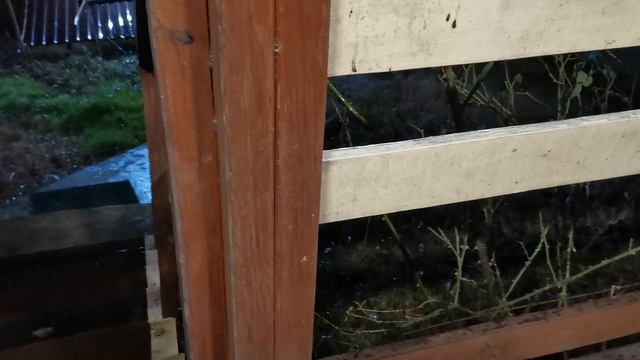 СОЧИ ГОРНОЕ ЛОО УТРО 16.01.2026 смотреть онлайн