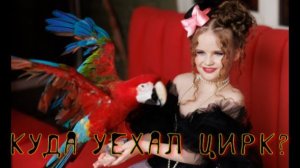 Фильм 🐒🎪🦜" Куда уехал цирк" 🦜🐕🐨от журнала Modelle