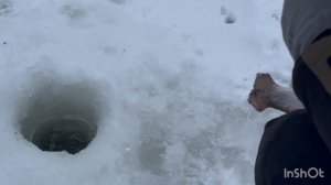 Спортзона.Поимки