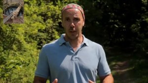 10 сигналов тела, которые нельзя игнорировать.