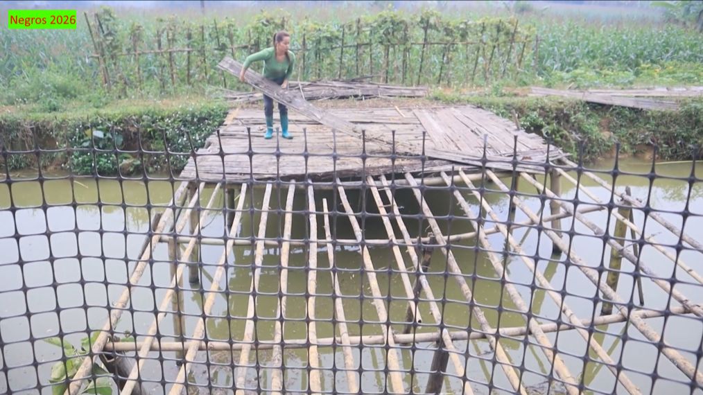 София 51. София перестраивает навес над прудом. смотреть онлайн