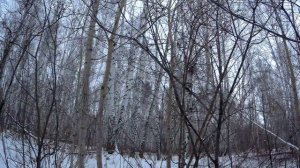 Закрываем Сезон