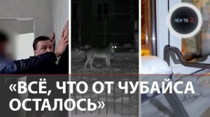 Кувалда для лучшего игрока | 3 млн за подписи | Чубайса загрызли волки | Снос пошел не по плану