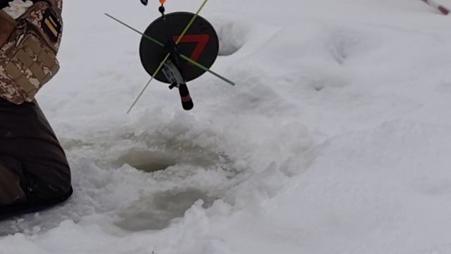 Форель сход смотреть онлайн