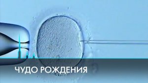 Чудо рождения. Как наука побеждает бесплодие