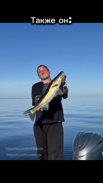 Самые удачные кадры😁 #рыбалка #волга #судак #лодка #boat #fishing #троевканоэ #салют585 #реки смотреть онлайн