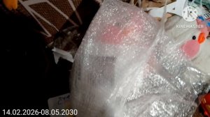 эволюция интро рутубера Мessenger Мax