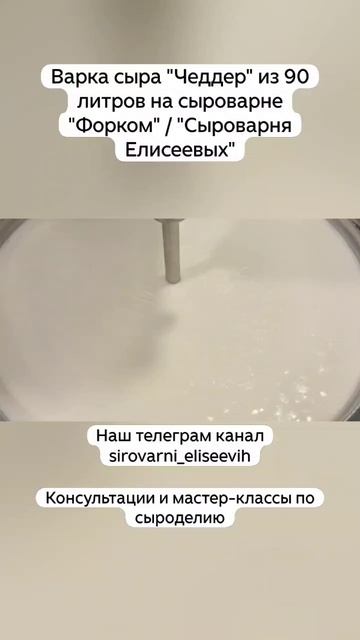 Варка сыра "Чеддер" из 90 литров на сыроварне "Форком" / "Сыроварня Елисеевых" смотреть онлайн