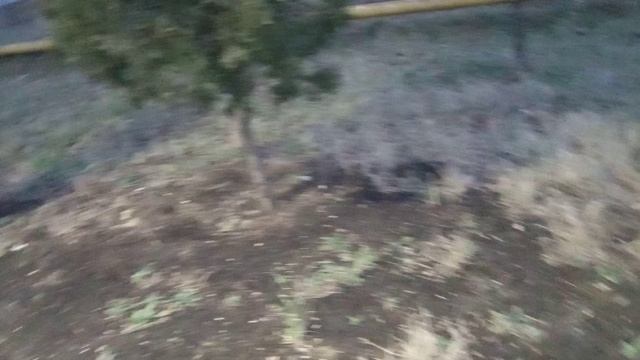 Парк и прогулка по парку в Каспийске. Каспийск Дагестан. смотреть онлайн