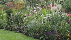 КАК СОЗДАТЬ ПОТРЯСАЮЩУЮ ЦВЕТОЧНУЮ КЛУМБУ СОВЕТЫ БРИТАНСКОГО САДОВНИКА