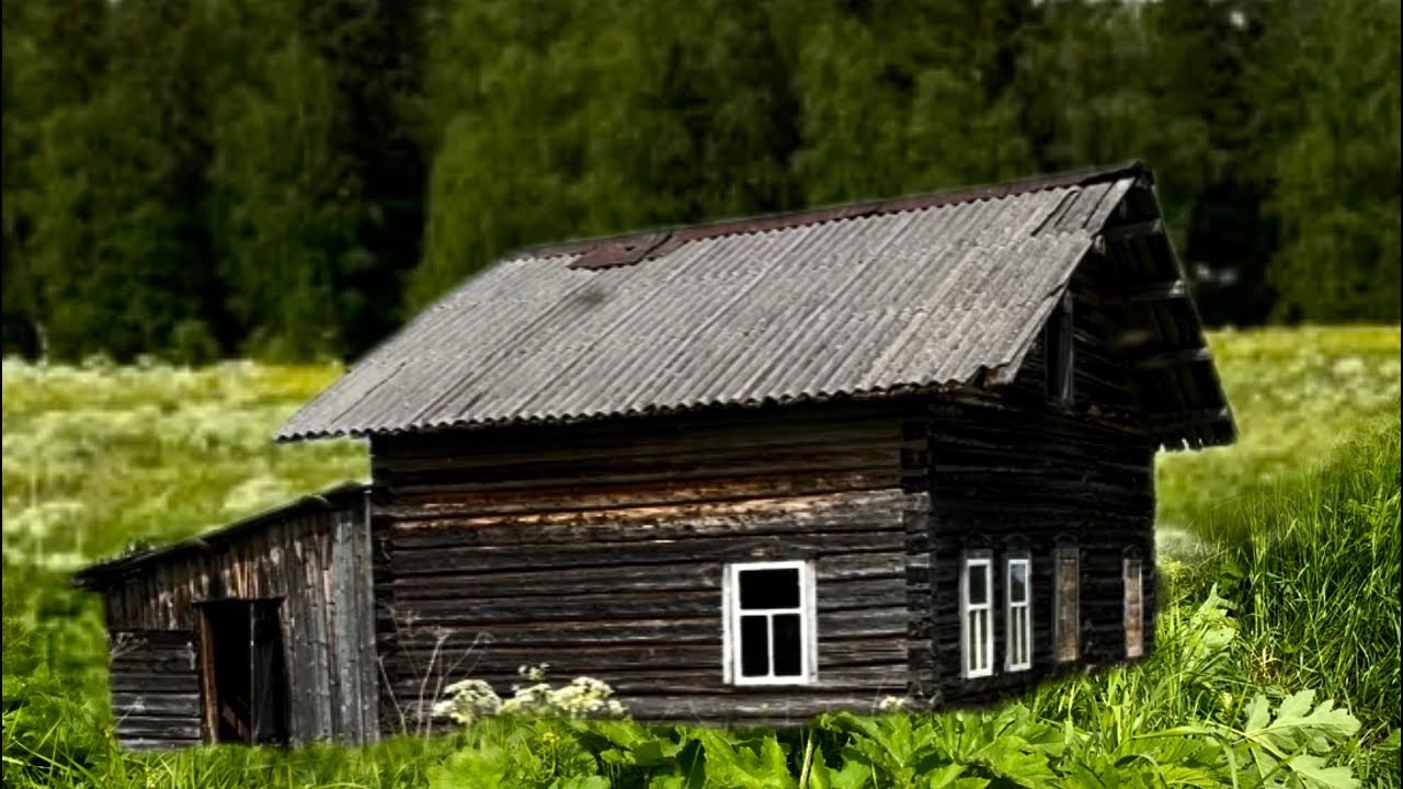 Одни в глухой тайге. Обустройство избы. Рыбалка. Часть 1. смотреть онлайн