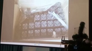 Как правильно вырастить садовую землянику из семян.