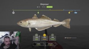 ✅ Море Море, делаем квесты #6 ✅ #russianfishing4