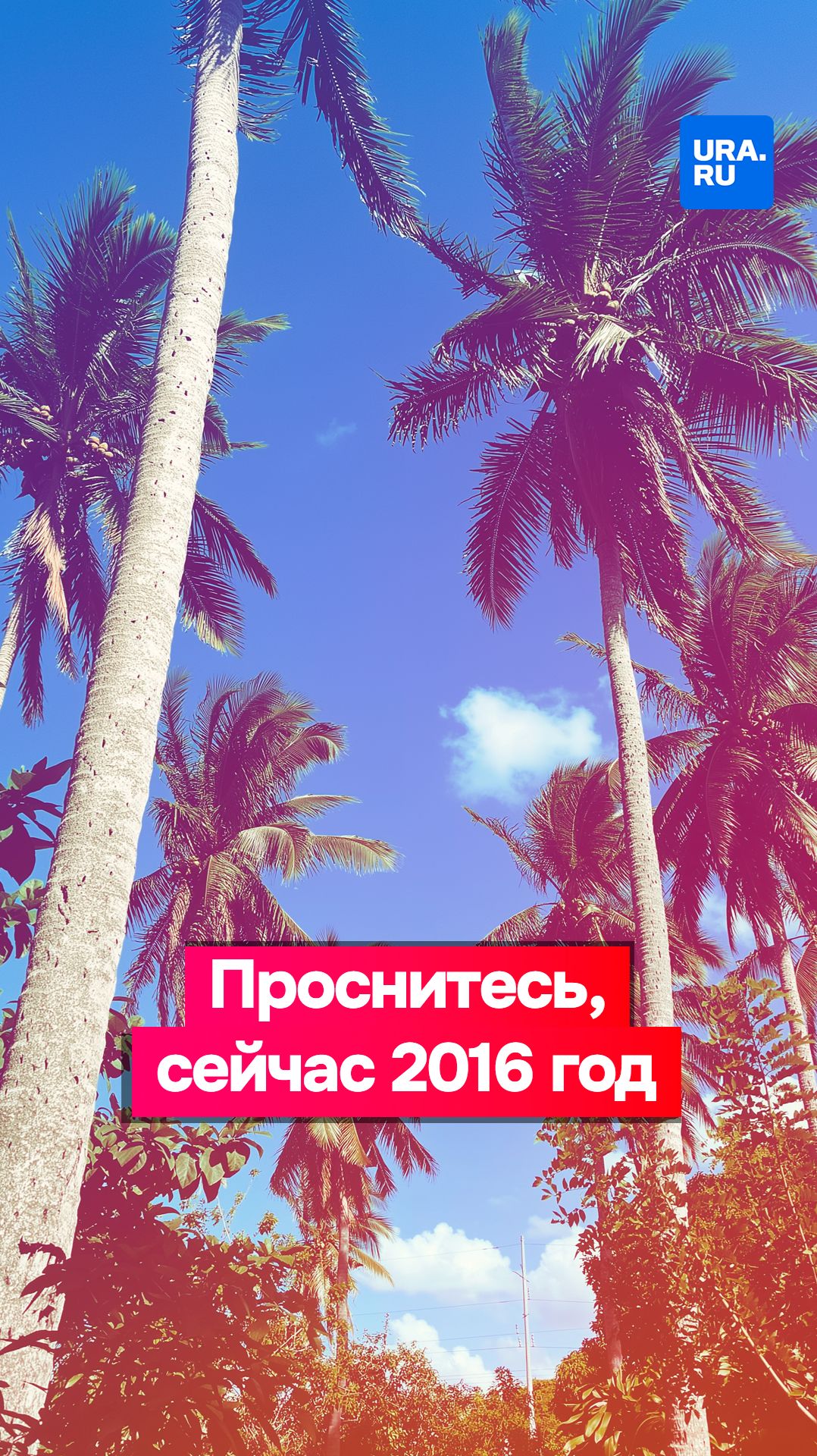 Проснитесь, сейчас 2016 год! смотреть онлайн