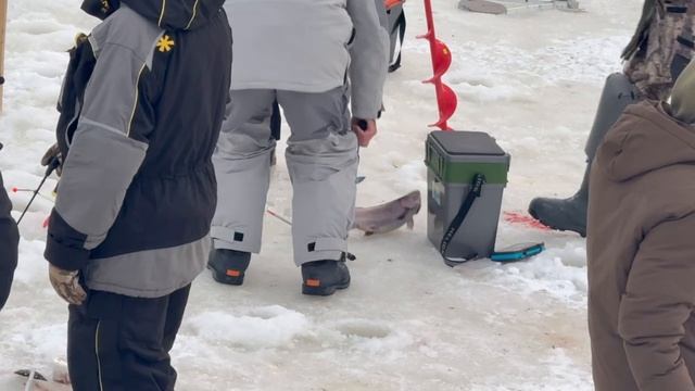 3041.mp4 смотреть онлайн