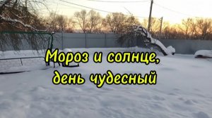 Прекрасный морозный денёк