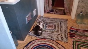 Жизнь женщины в глубинке России, Ответ на комментарий