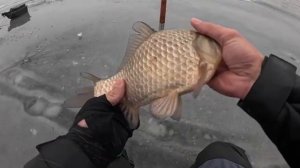 ТУТ КЛЮЮТ КАРАСИ КАК САЗАНЫ! ЖОР КРУПНОЙ РЫБЫ В ОТТЕПЕЛЬ! Зимняя рыбалка 2026