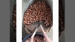 Хорошая идея!