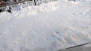 Вот такая жизнь в деревне))