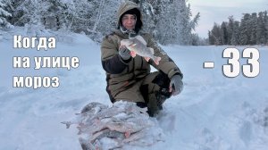 Испытание Етыпуром: Как три рыбака и две мотособаки искали рыбу в –33°C. Зимняя рыбалка 2026.