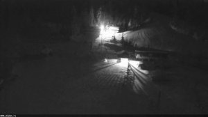 LIVE: channel72300343