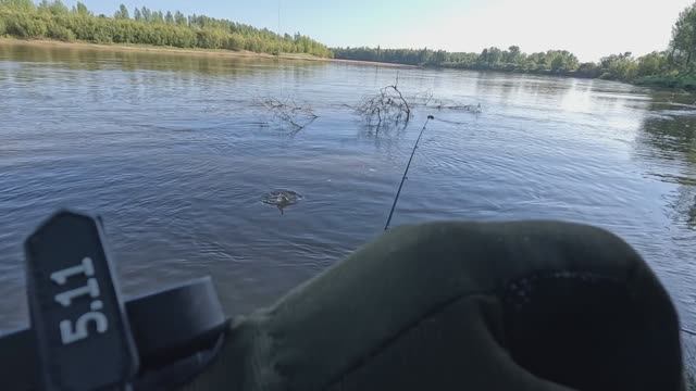 🎣ВРОДЕ БЫЛ И ВРОДЕ НЕТ🎣fishing#туризм#природа#ловля#рыбалка#щука#ловлящуки#ночевка#Чулым#река#