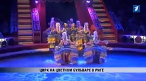 В цирке Максима Никулица