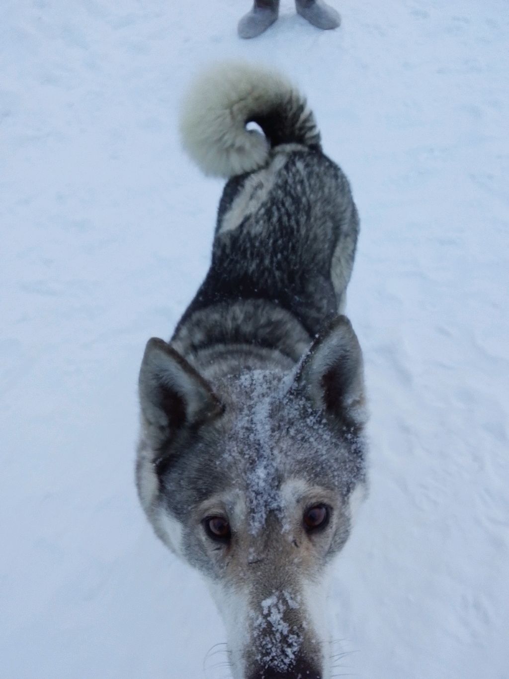 ок смотреть онлайн