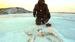 ПОДЪЁМ... УДАР... ЛУПИТ ОДИН ЗА ОДНИМ!! ЗИМНЯЯ РЫБАЛКА НА СУДАКА