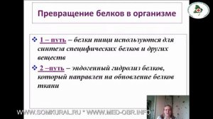 36 Обмен веществ и энергии в организме человека