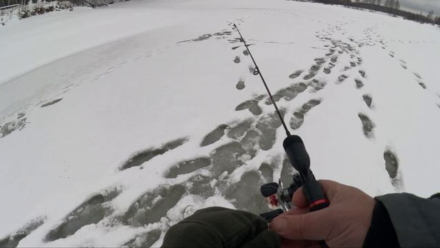 Река Жданка  Московская область первый выход на лед  зима 2026