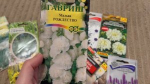 Обзор семян декоративных культур