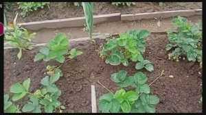 Невежество продавца? или....